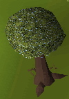 magictree.jpg